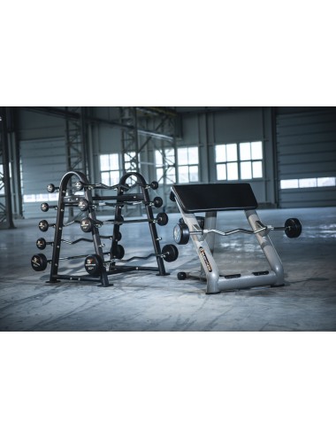 Stojak na gryfy i sztangi AC-127